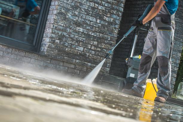 Animal Enclosure Cleaning in Roland, IA